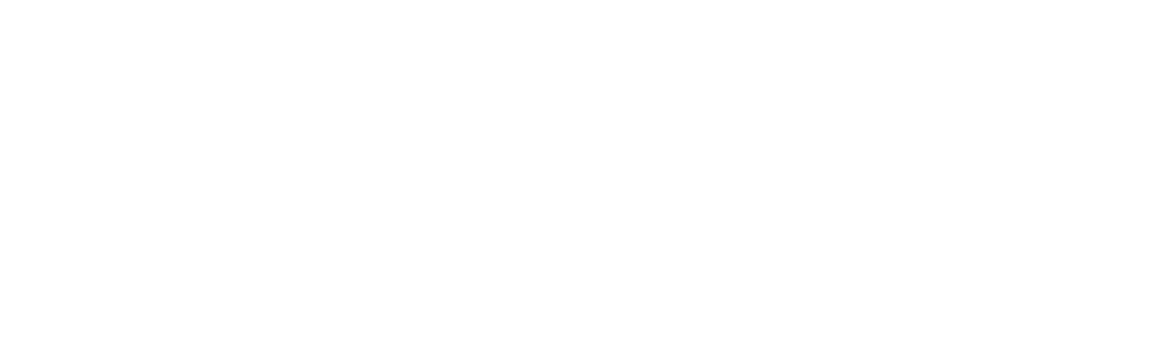 Site Logo White